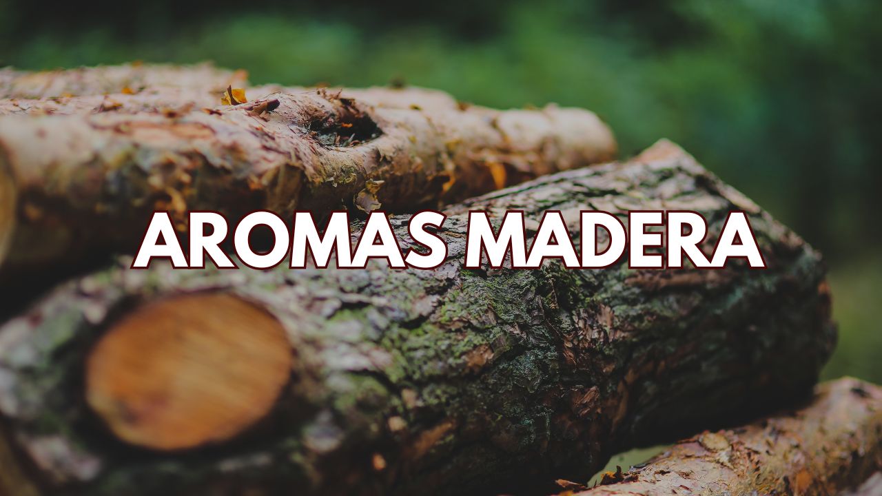 Colección Aroma Amaderado Premium