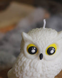 🦉 Vela Hedwig