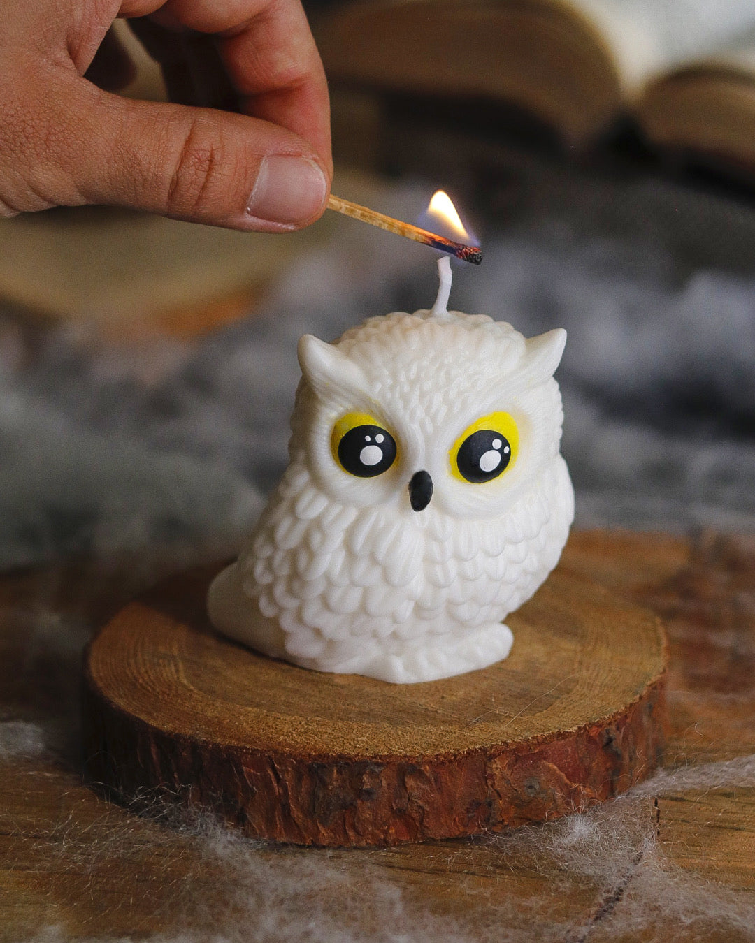 🦉 Vela Hedwig