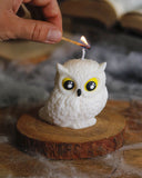 🦉 Vela Hedwig